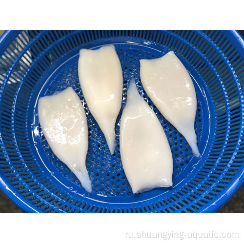 IQF Frozen Todarodes Pacificus squid Tube U5 U7